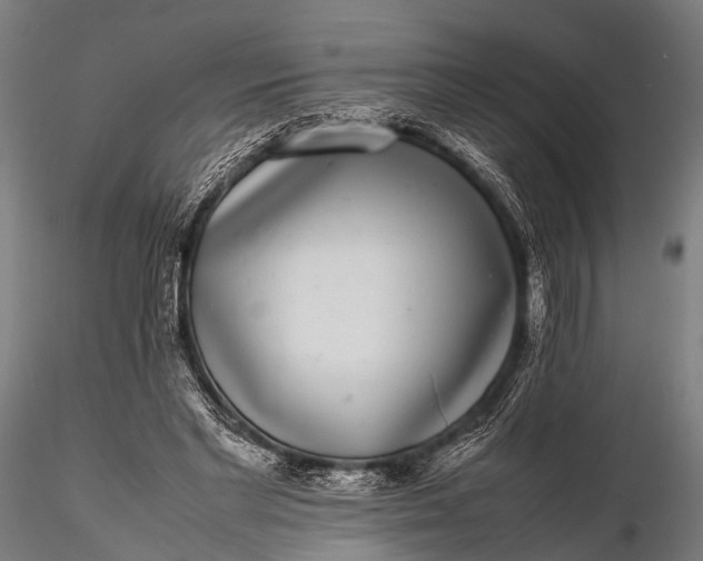 X0000116100493200912071303