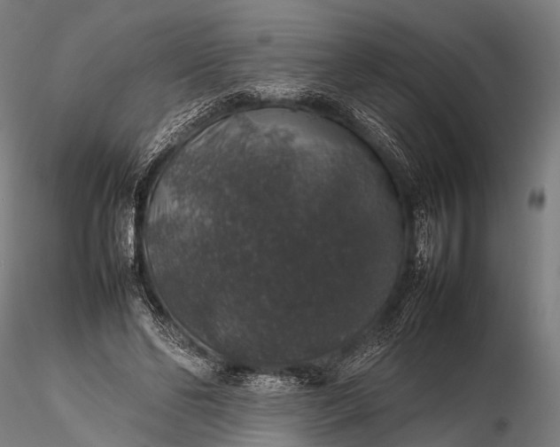 X0000116100494200912071303