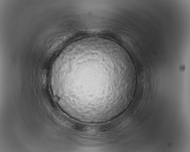 X0000116100495200912071303