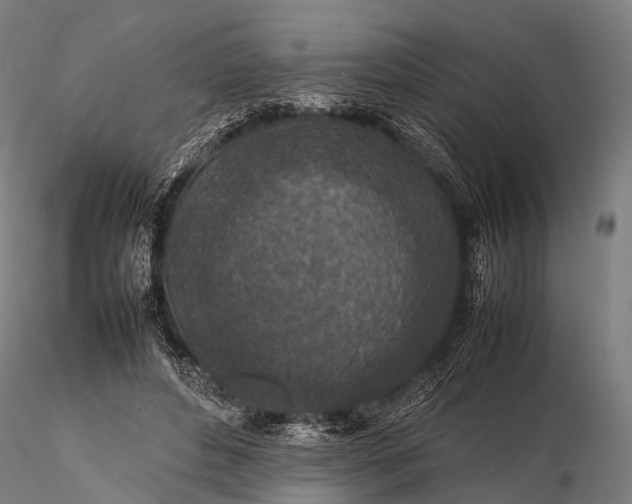 X0000116100496200912071303