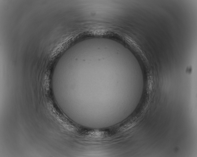 X0000116100497200912071303