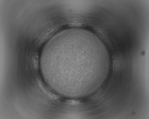 X0000116100498200912071303