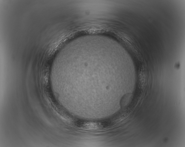 X0000116100499200912071303