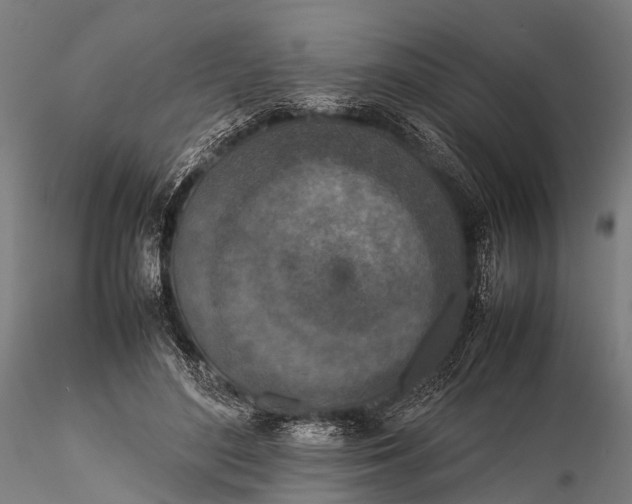 X0000116100500200912071303