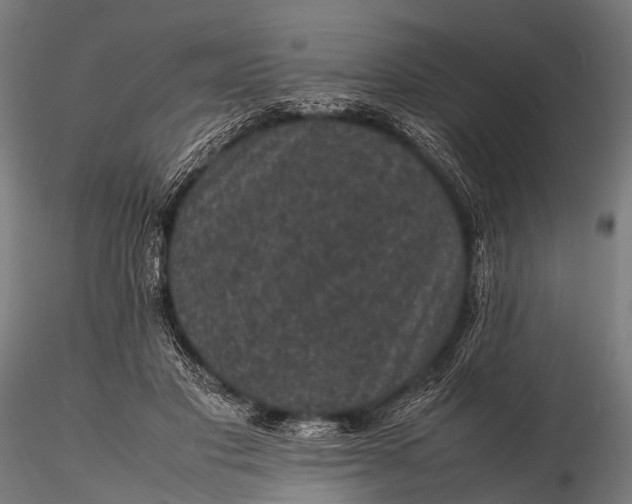 X0000116100501200912071303