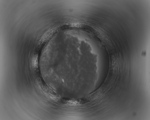 X0000116100502200912071303