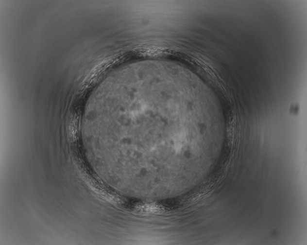 X0000116100503200912071303