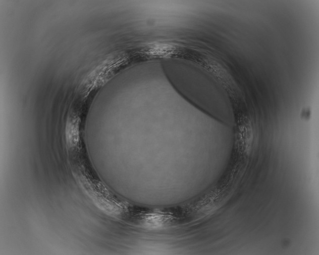 X0000116100504200912071303