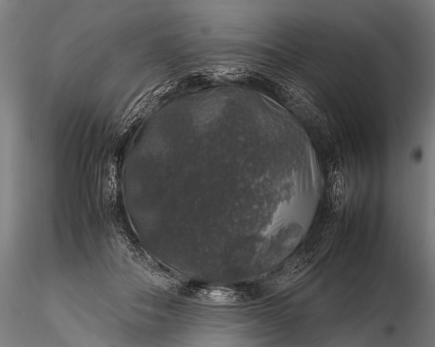 X0000116100506200912071303