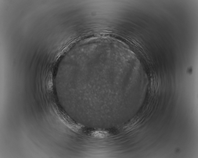 X0000116100508200912071303