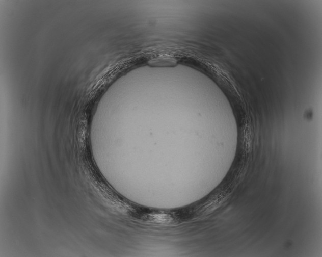 X0000116100509200912071303