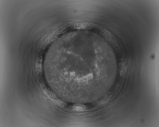 X0000116100510200912071303