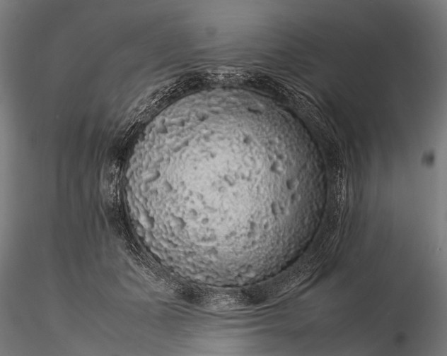 X0000116100511200912071303