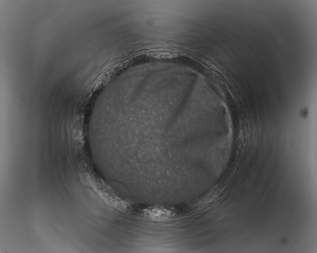 X0000116100512200912071303