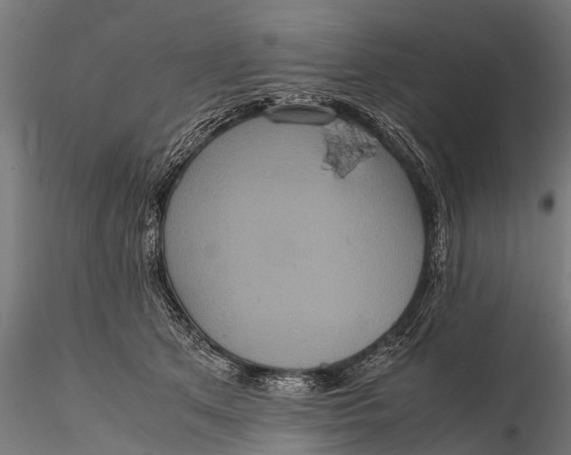 X0000116100513200912071303