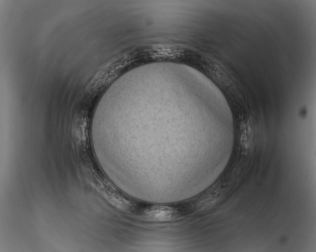 X0000116100514200912071303