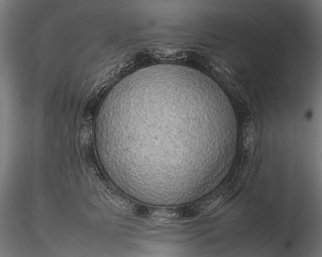 X0000116100515200912071303