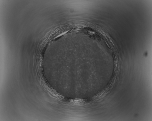 X0000116100517200912071303