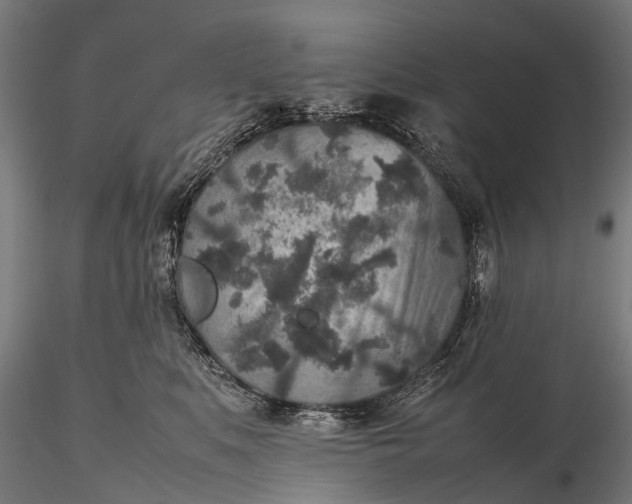 X0000116100519200912071303