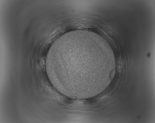 X0000116100523200912071303