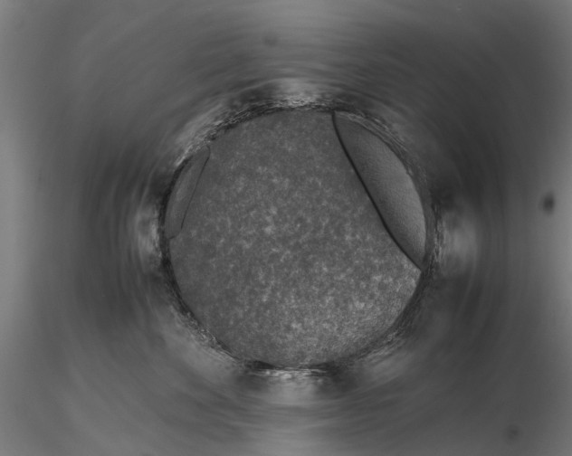 X0000116100524200912071303