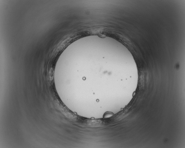 X0000116100525200912071303