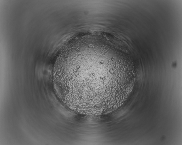 X0000116100527200912071303