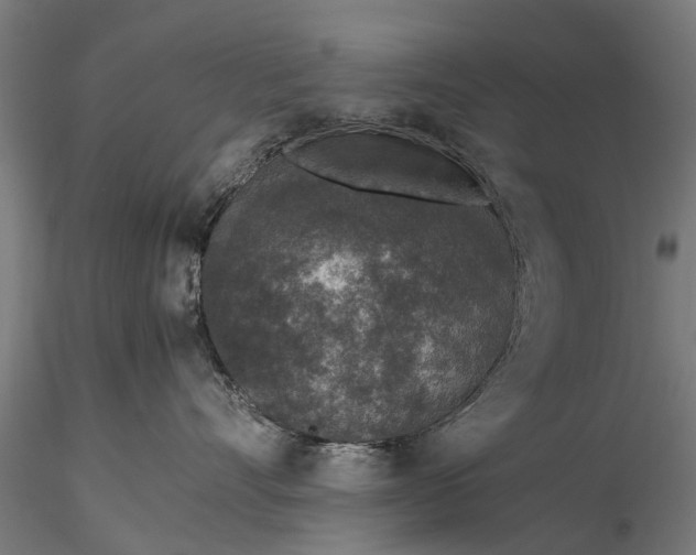 X0000116100528200912071303