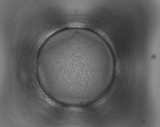 X0000116100529200912071302