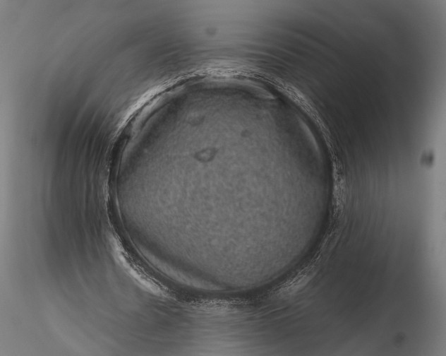 X0000116100530200912071302