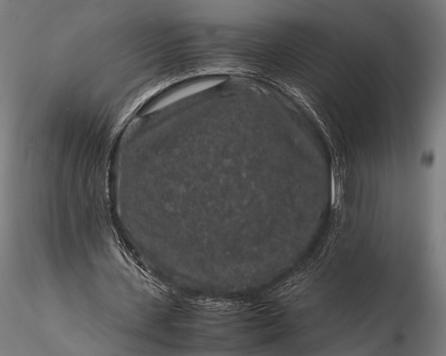 X0000116100531200912071302