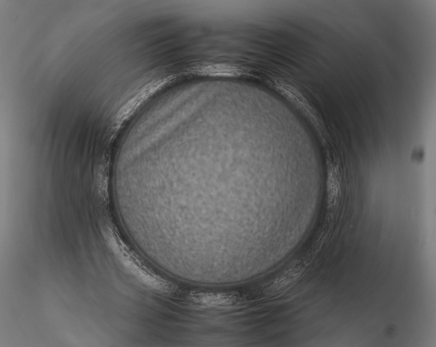 X0000116100533200912071302