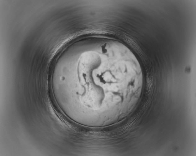 X0000116100534200912071302