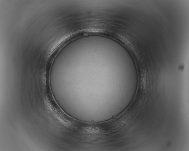 X0000116100535200912071302