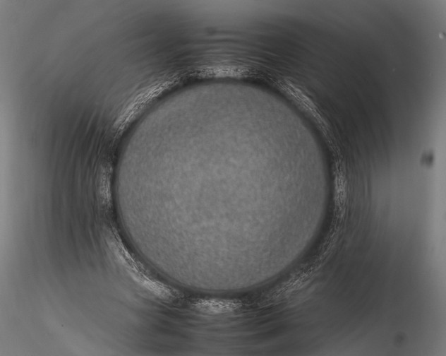 X0000116100537200912071302