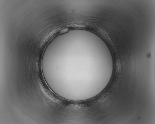 X0000116100538200912071302