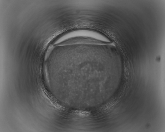 X0000116100539200912071302