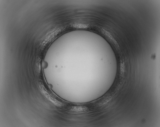 X0000116100541200912071302