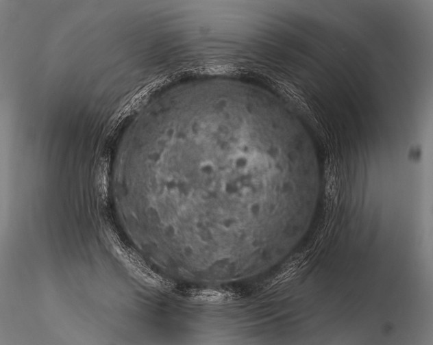 X0000116100542200912071302