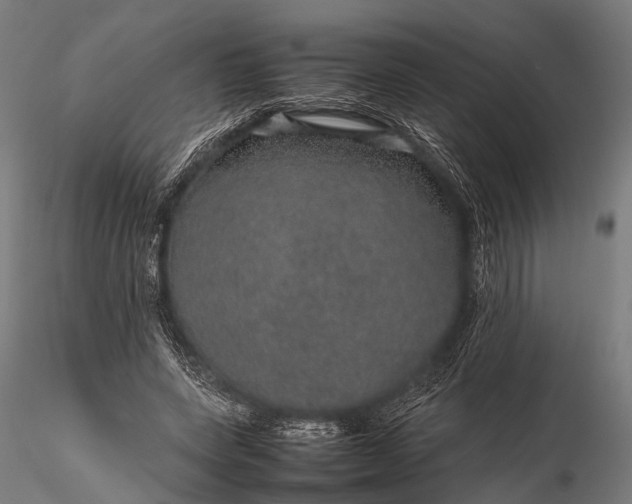 X0000116100543200912071302