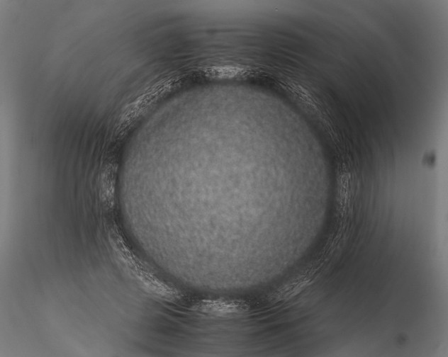 X0000116100545200912071302