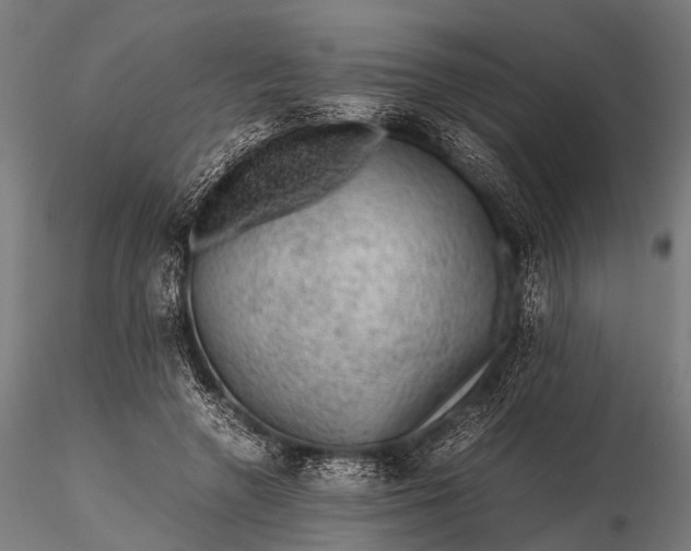 X0000116100546200912071302