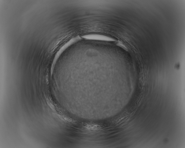 X0000116100547200912071302