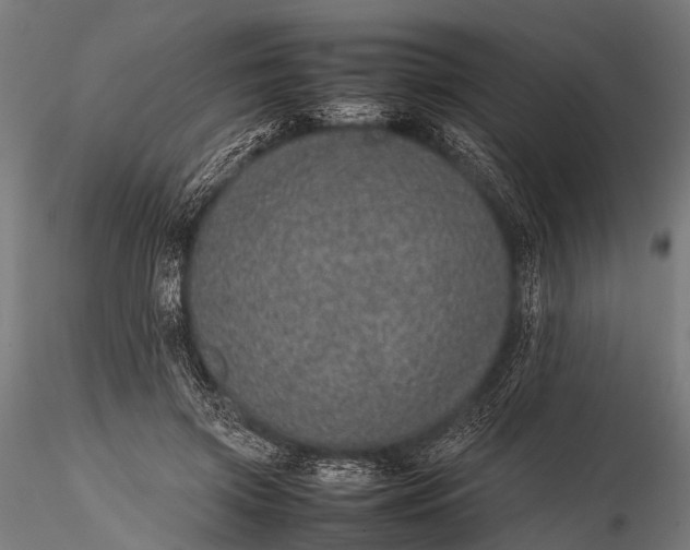 X0000116100549200912071302