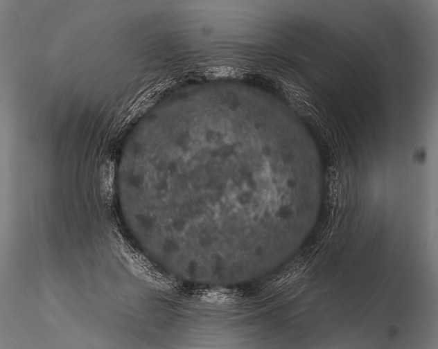 X0000116100550200912071302