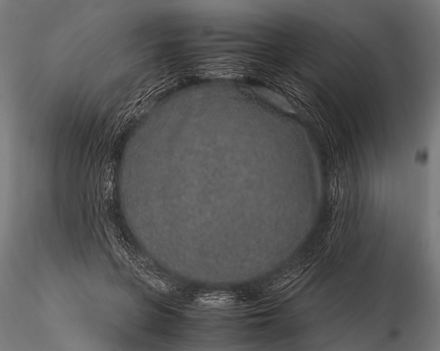 X0000116100551200912071302