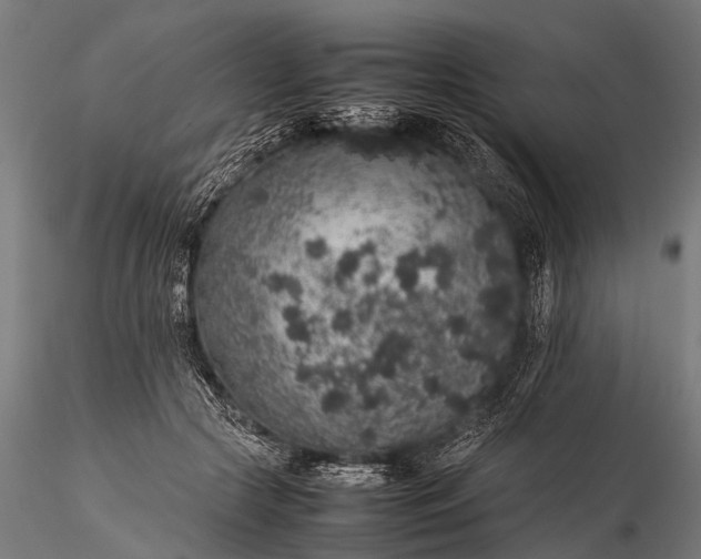 X0000116100553200912071302