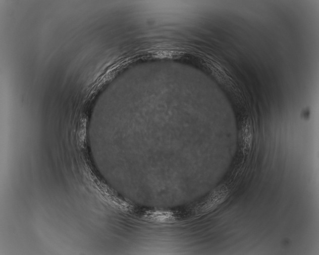 X0000116100554200912071302