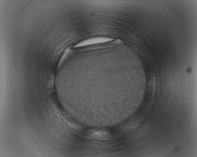 X0000116100555200912071302