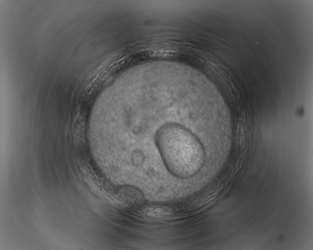 X0000116100557200912071302